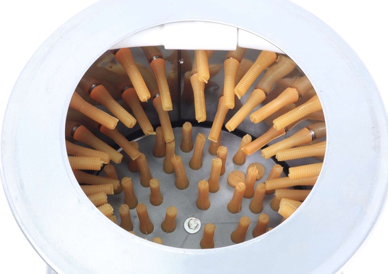 Desplumadora Perdices y Codornices 180w 300mm